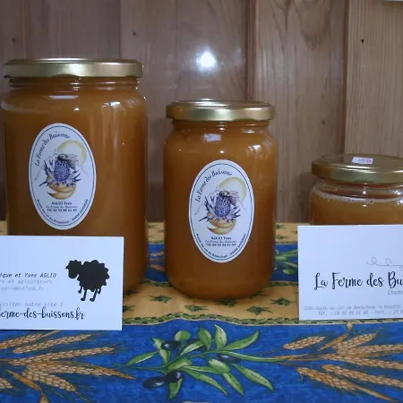 La Ferme Des Buissons 柔基耶