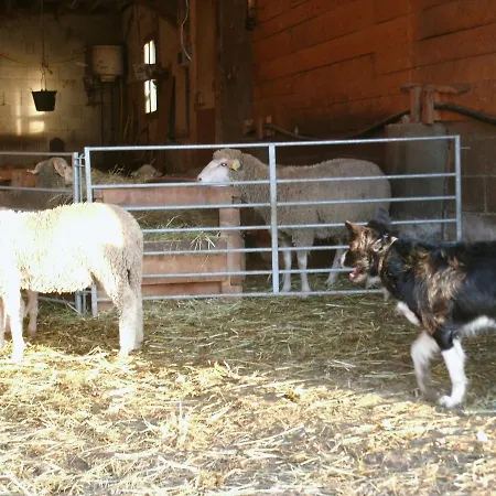 La Ferme Des Buissons